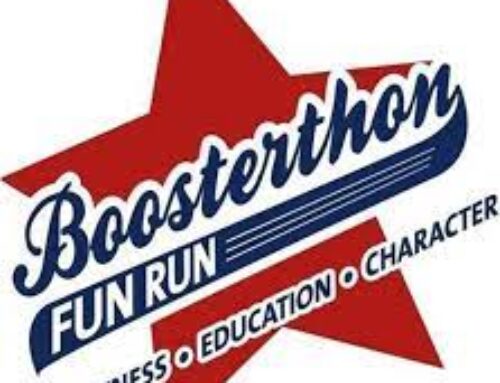 Weekly Update 3.11.26