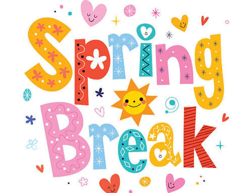 Weekly Update 3.26.26